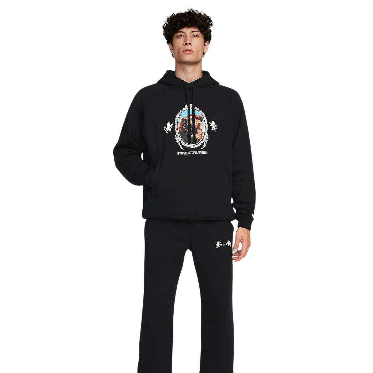 Кофта Nike LJ BRSH PO HOODIE FB7123-010