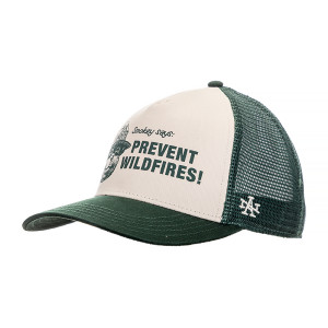 Бейсболка AMERICAN NEEDLE Smokey Bear Sinclair Side SMU730A-SBEAR