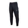 Штани Nike TF THRMA SPHR PANT DD2122-010