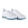 Кросівки Nike AIR VAPORMAX PLUS 924453-100