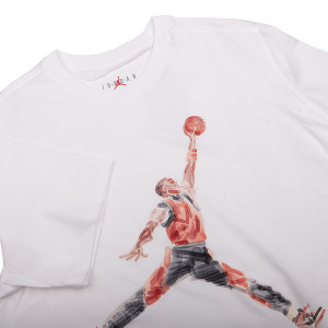 Футболка JORDAN M J BRAND JM WTRCLR SS CREW FN5980-100