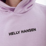 Худі HELLY HANSEN CORE GRAPHIC SWEAT HOODIE 53924-699 1 4