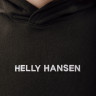 Худі HELLY HANSEN CORE GRAPHIC SWEAT HOODIE 53924-992 1 4