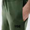 Шорти HELLY HANSEN MOVE SWEAT SHORTS 53710-476 1 3