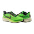 Кросівки NIKE AIR ZOOM PEGASUS 39 DZ4776-343