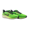 Кросівки NIKE AIR ZOOM PEGASUS 39 DZ4776-343