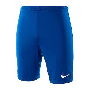 Шорти Nike Park II KNIT SHORT NB 725887-463