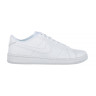 Кросівки Nike COURT RO ALE 2 NN DH3159-100