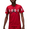 Футболка JORDAN M J JD AIR STRETCH SS CREW DV1445-687 1 1