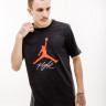 Футболка JORDAN JUMPMAN FLIGHT HBR TEE AO0664-010 6
