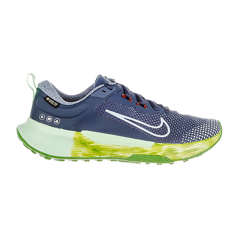 Кросівки Nike WMNS JUNIPER TRAIL 2 GTX FB2065-403