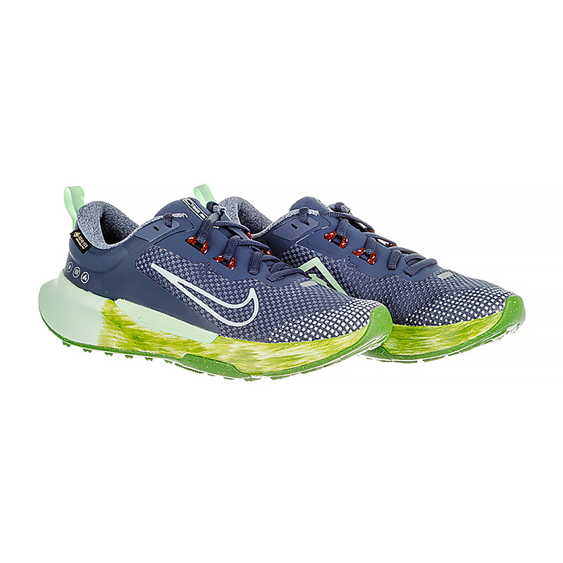 Кросівки Nike WMNS JUNIPER TRAIL 2 GTX FB2065-403