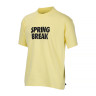 Футболка Nike M NK SB TEE SPRING BREAK DX9457-706 1 1 2